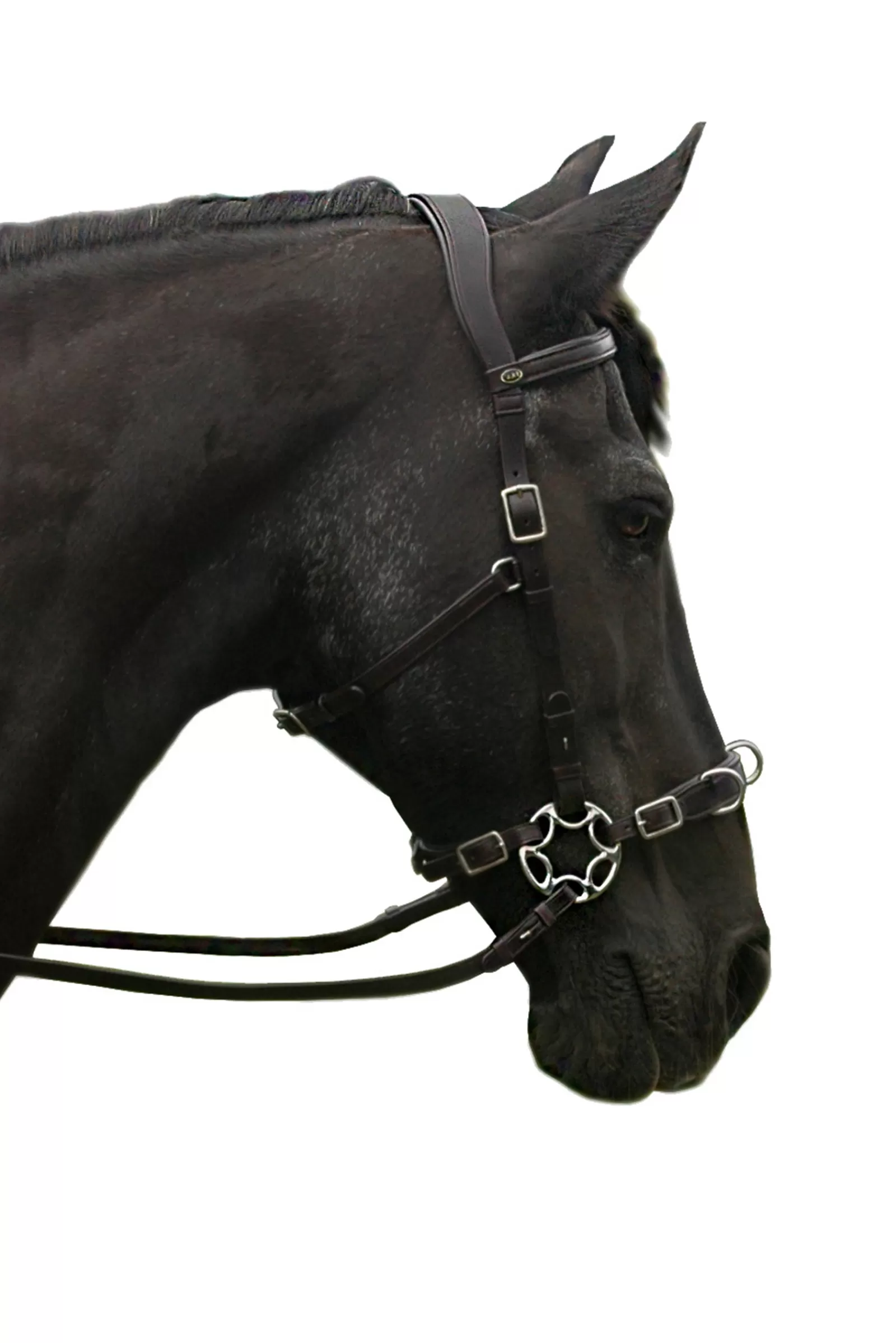fra Caval Cavemore Suitsikompletti (System 2) Varsilla Ja Ohjilla Black New