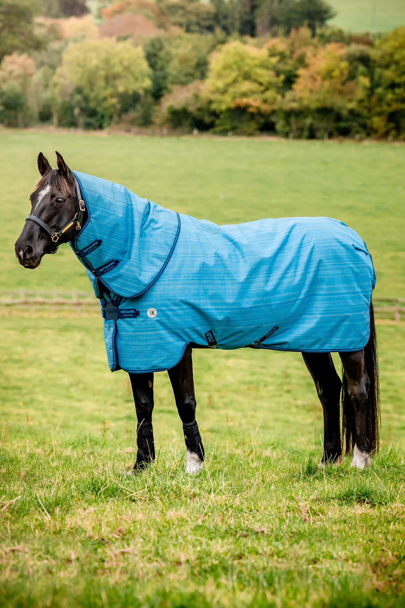 horseware Amigo Hero 900 Revive Plus Ulkoloimi, Mukana Irrotettava Kaulakappale, 50 G Oceanblue Fashion