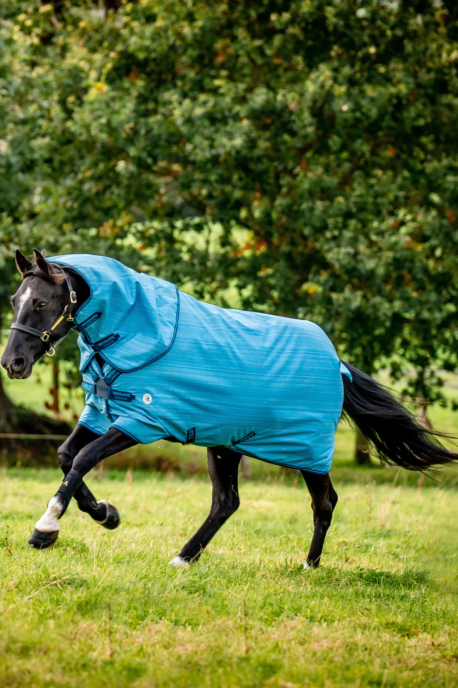 horseware Amigo Hero 900 Revive Plus Ulkoloimi, Mukana Irrotettava Kaulakappale, 50 G Oceanblue Fashion