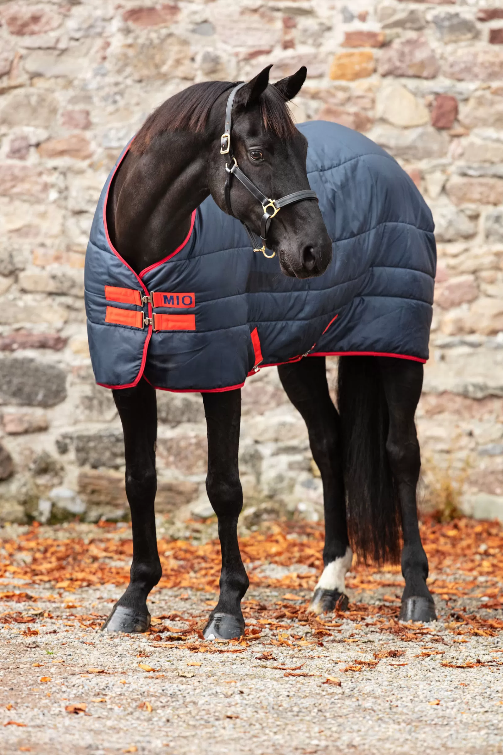 horseware Mio Insulator Stabrug Medium Double Talliloimi, 150G Navy/Red/Red Clearance