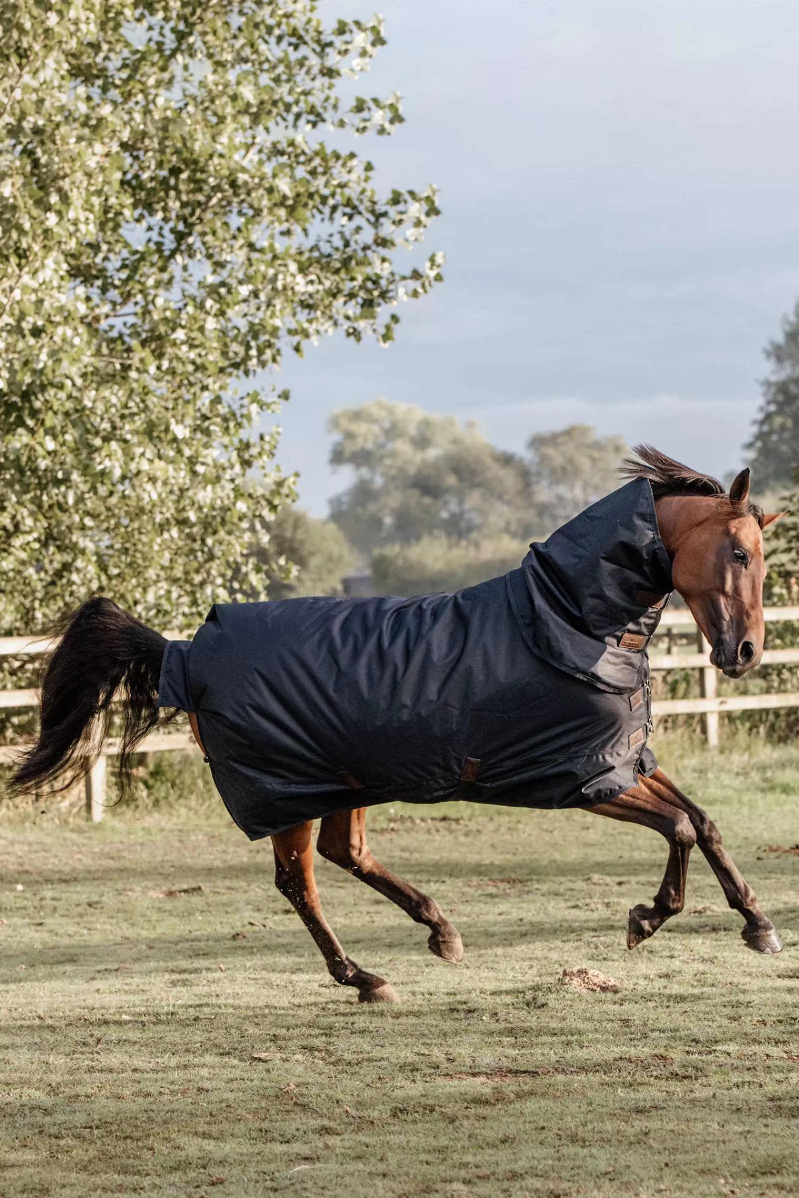 kentucky Horsewear All Weather Waterproof Classic Ulkoloimi, 0 G Db/Ab New