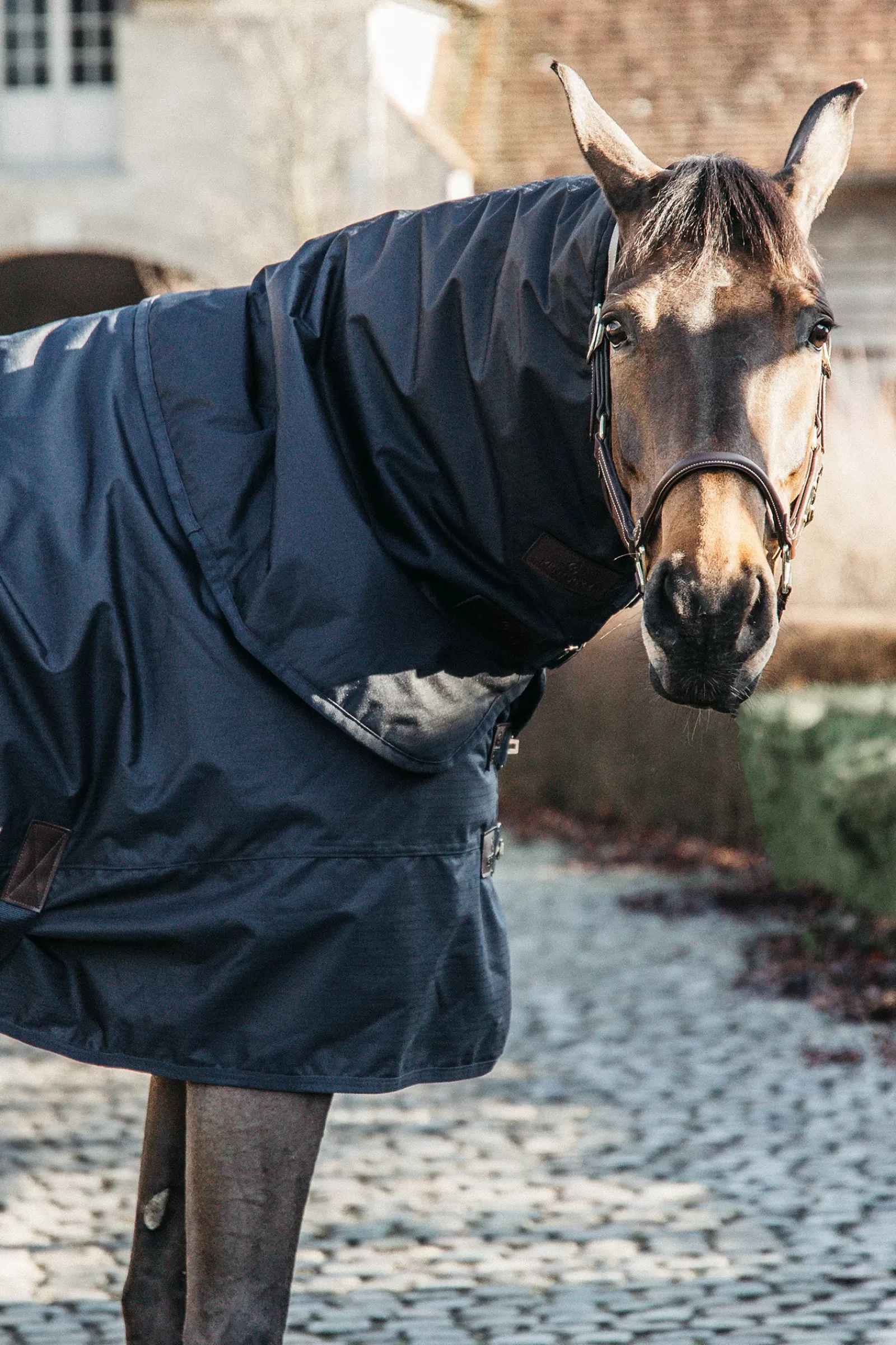 kentucky Horsewear All Weather Waterproof Classic Ulkoloimi, 150 G Db/Ab Shop