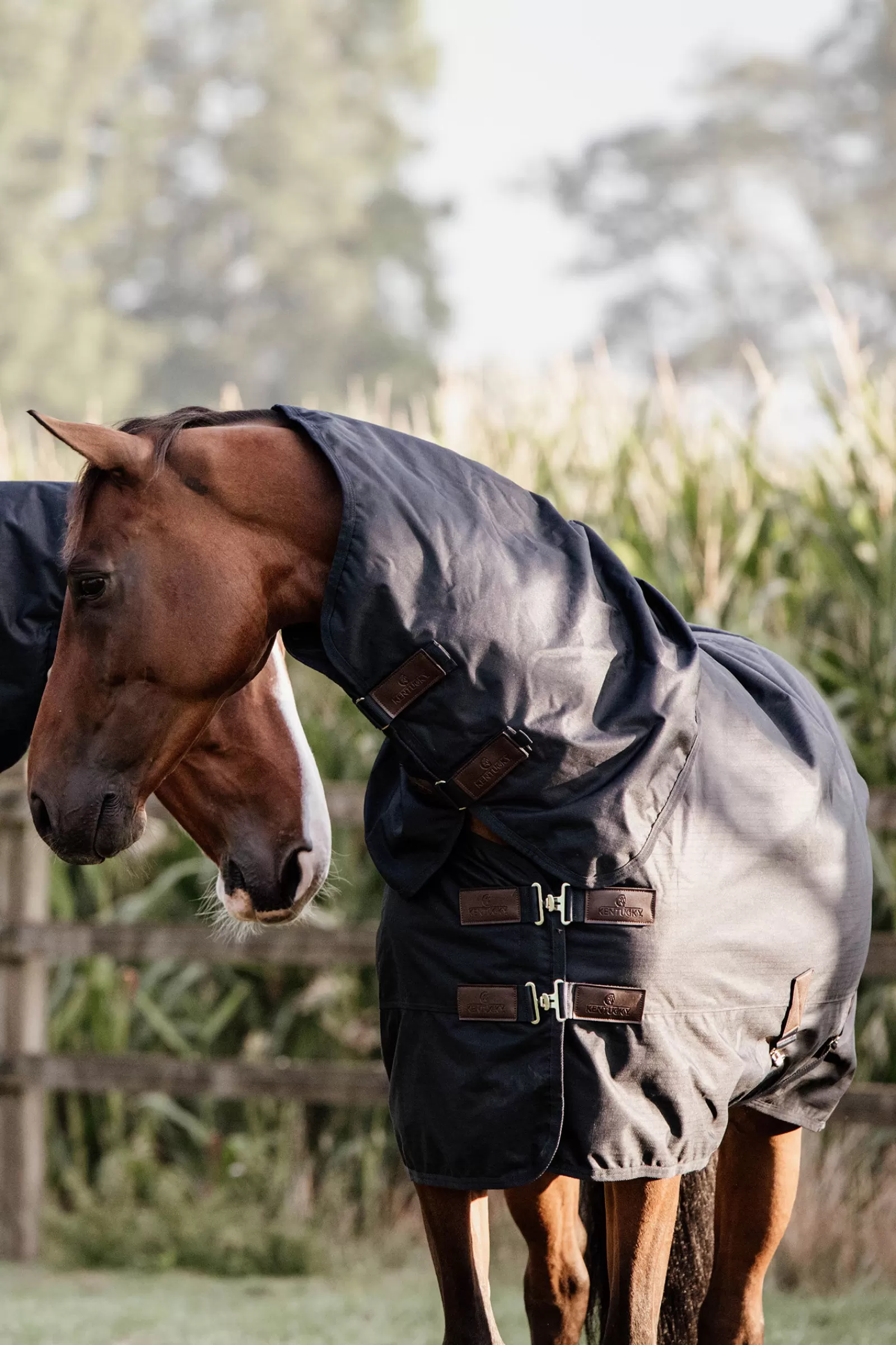 kentucky Horsewear All Weather Waterproof Classic Ulkoloimi, 150 G Db/Ab Shop